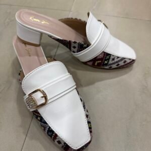 IMG_6526 Belly shoe